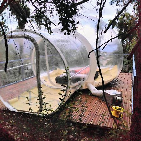 Dans Ma Bulle By C Cibeaulaos Hotel Cilaos Eksteriør billede