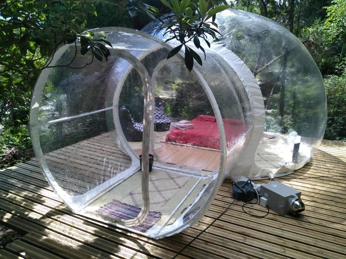 Dans Ma Bulle By C Cibeaulaos Hotel Cilaos Eksteriør billede
