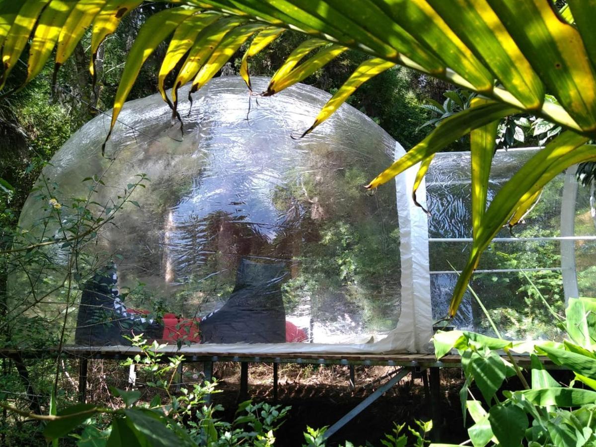 Dans Ma Bulle By C Cibeaulaos Hotel Cilaos Eksteriør billede