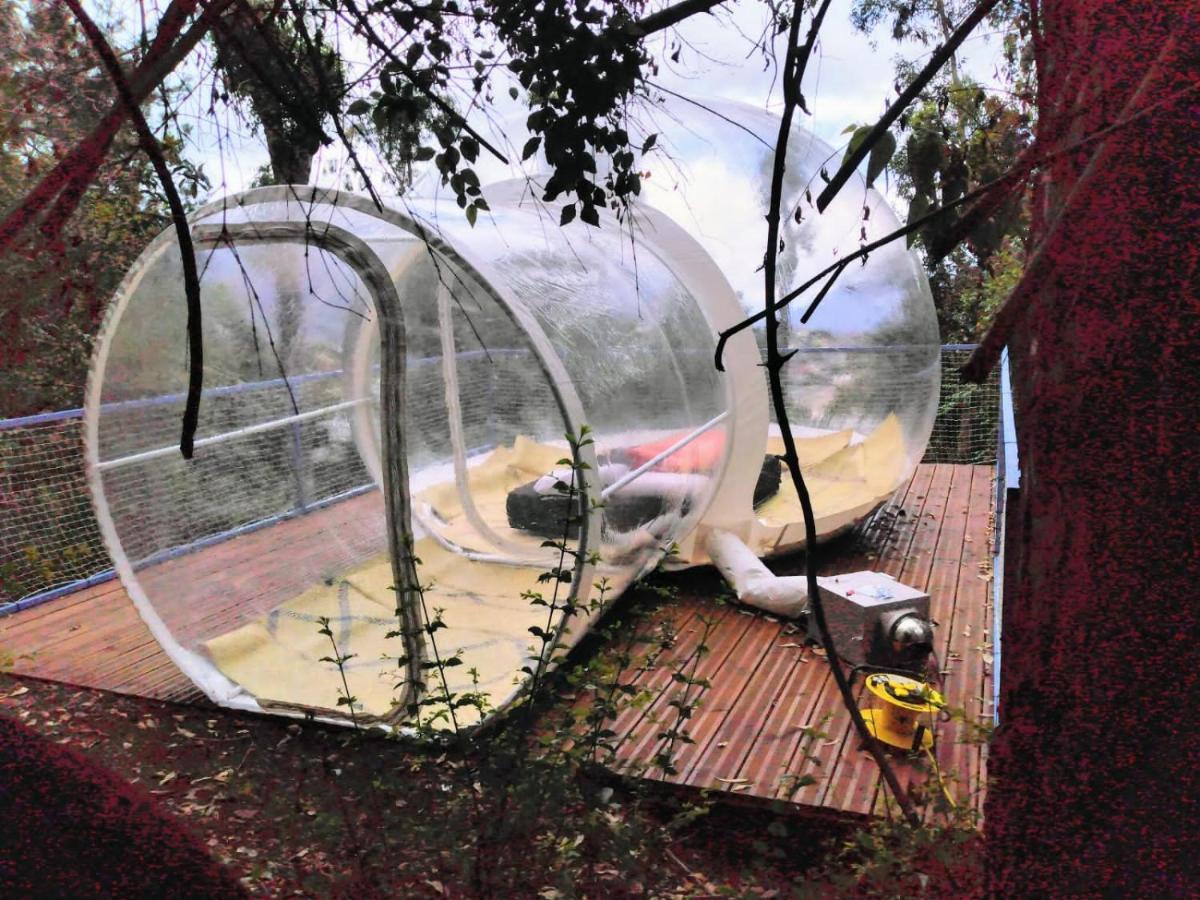 Dans Ma Bulle By C Cibeaulaos Hotel Cilaos Eksteriør billede